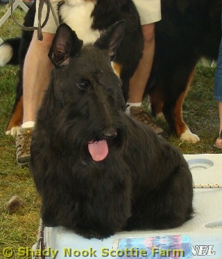 maddee2011090308.jpg