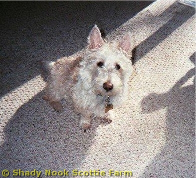 maggie2011022501.jpg