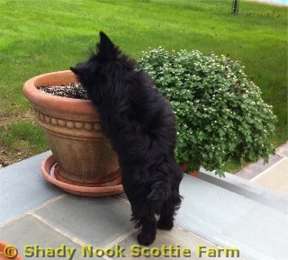 maggie2011100902.jpg
