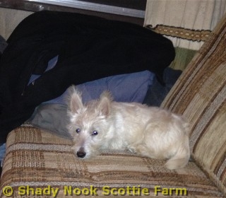 maggie2011103001.jpg