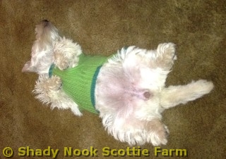 maggie2012010201.jpg