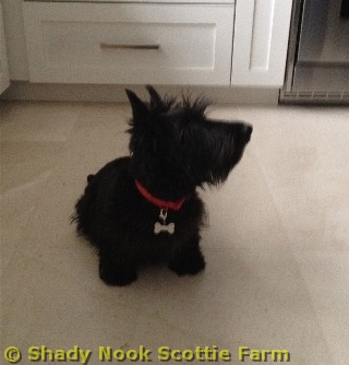 maggie2012010402.jpg