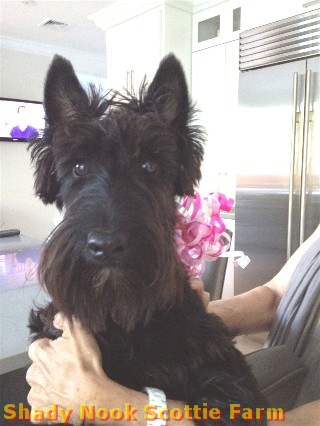 maggie2012062702.jpg