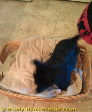 max2011090102.jpg