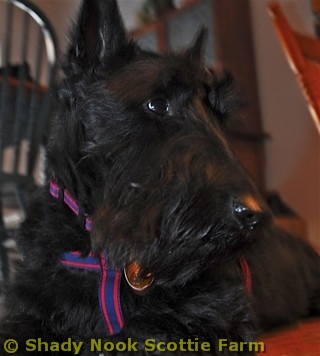 mcq2011020501.jpg
