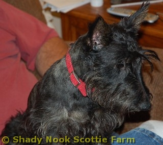 mindy2011030601.jpg
