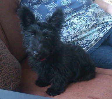 nessie2011043001.jpg