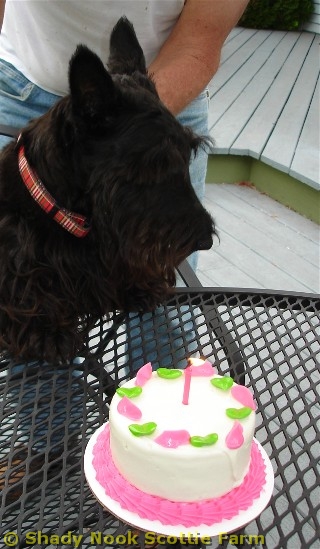 olive2011050113.jpg