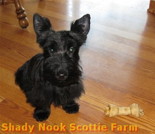 ruby2012072601.jpg