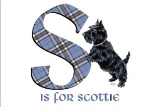 s_is_for_scottie.jpg