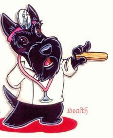scottie_dr.jpg