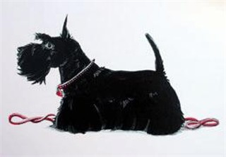 scottie_leash.jpg
