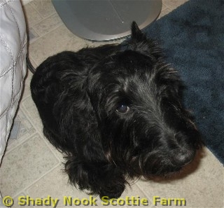sid2011092001.jpg