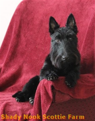 tazz2012091201.jpg