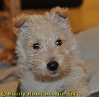 truffles2011022104.jpg