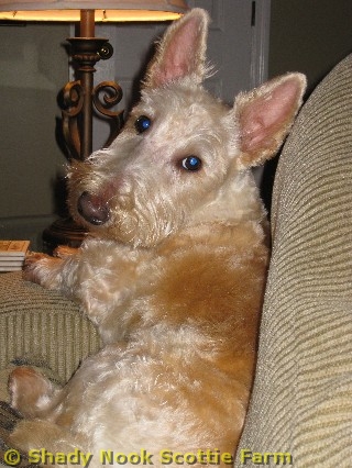tucker201011.jpg