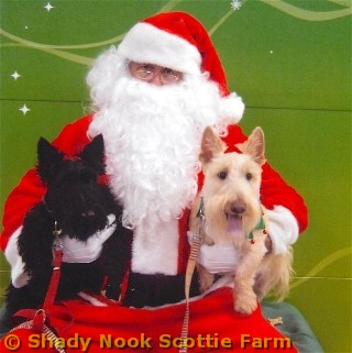 tucker2011122101.jpg