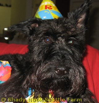 wallace2011061303.jpg