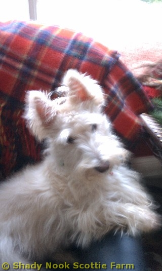 walter2011022201.jpg
