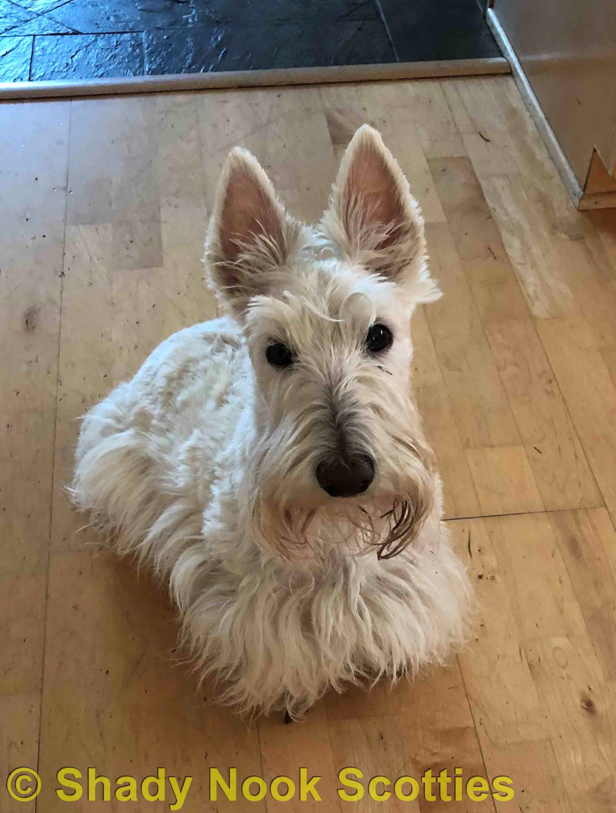 walter2019043001.jpg