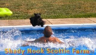 yogi2012062101.jpg