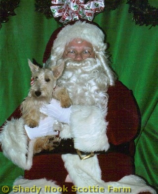 zoey2010121701.jpg